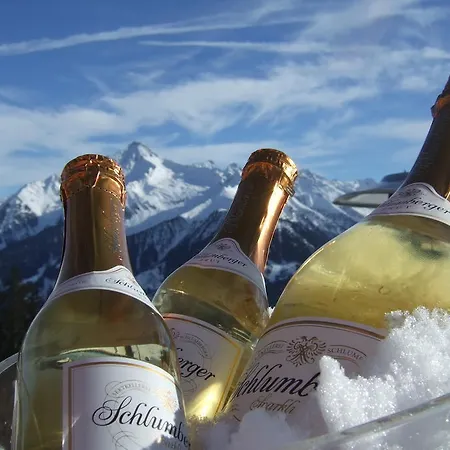 Chalet Schnee *