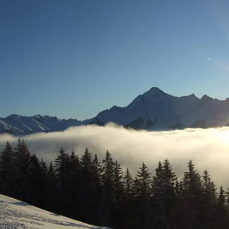 Schnee Domek alpejski *